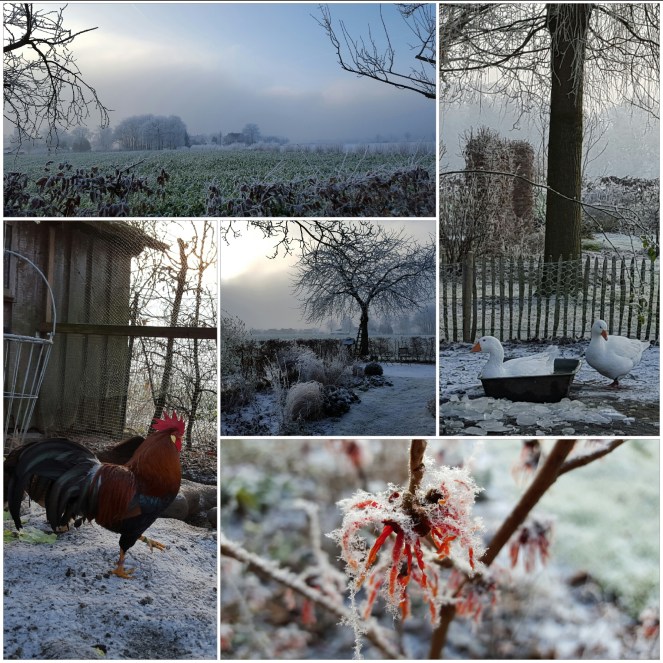 wp-1453408479809 image