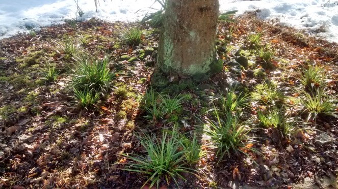 IMG_20160308_155544664_HDR