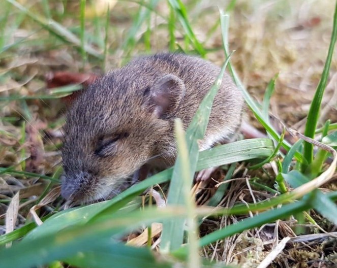 IMG-20190104-WA00081