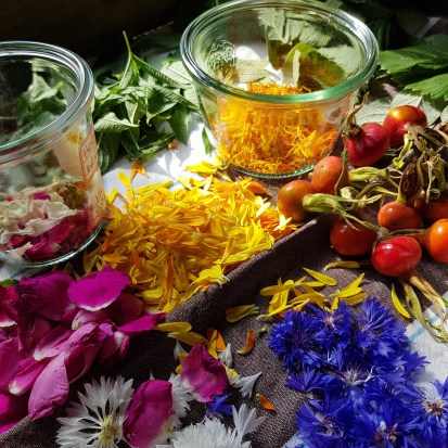 IMG_20180729_092103_573